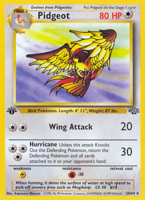 Pidgeot 24