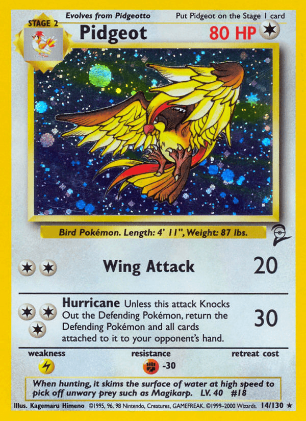 Pidgeot 14