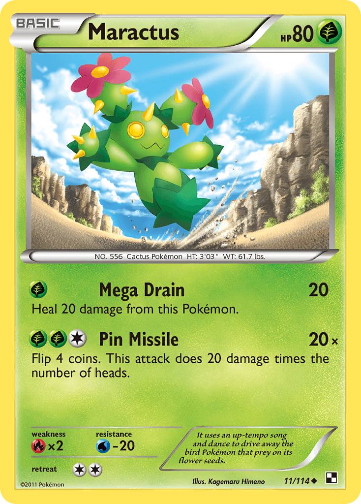 Maractus 11