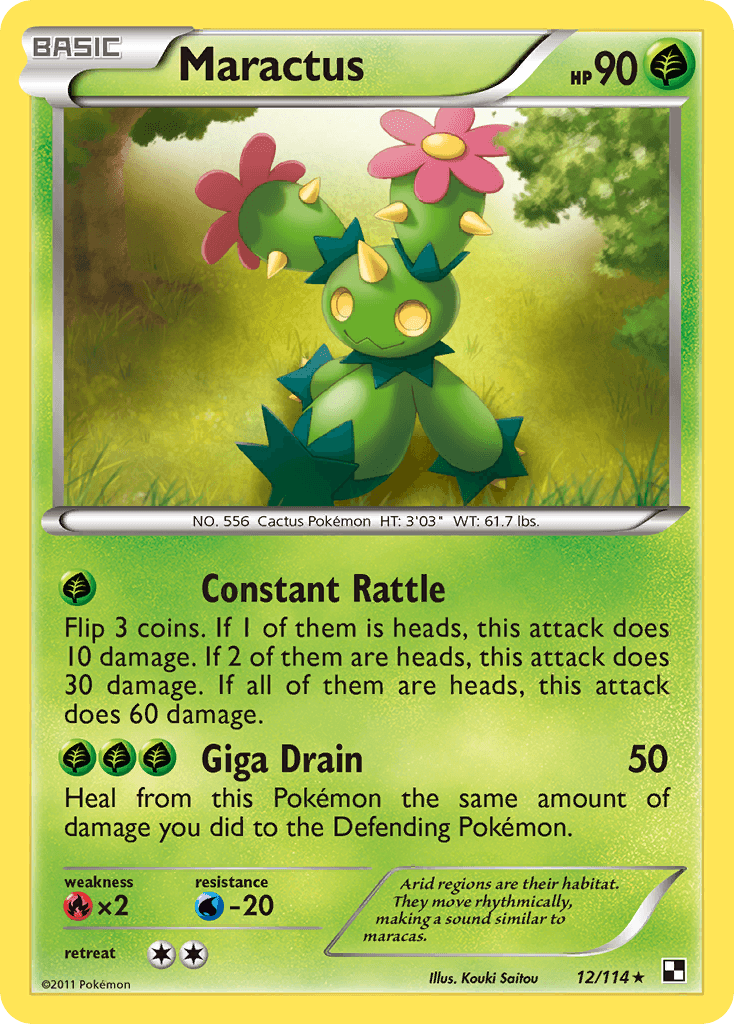 Maractus 12