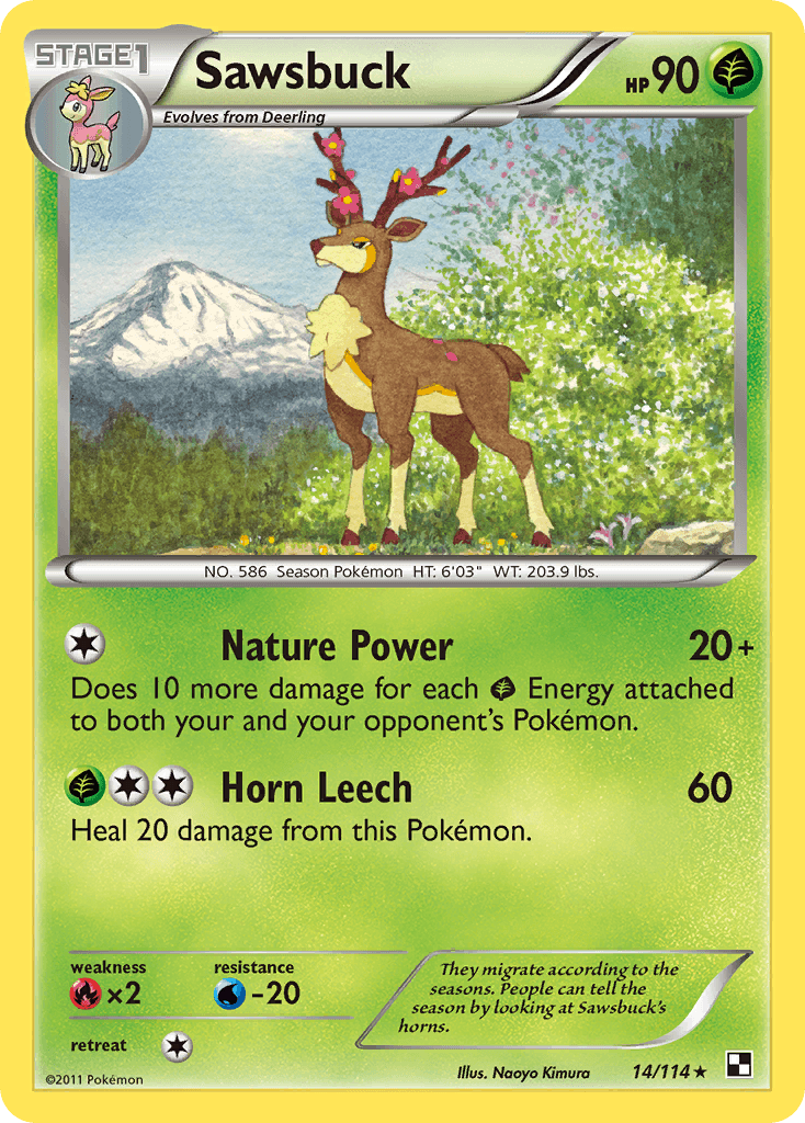 Sawsbuck 14
