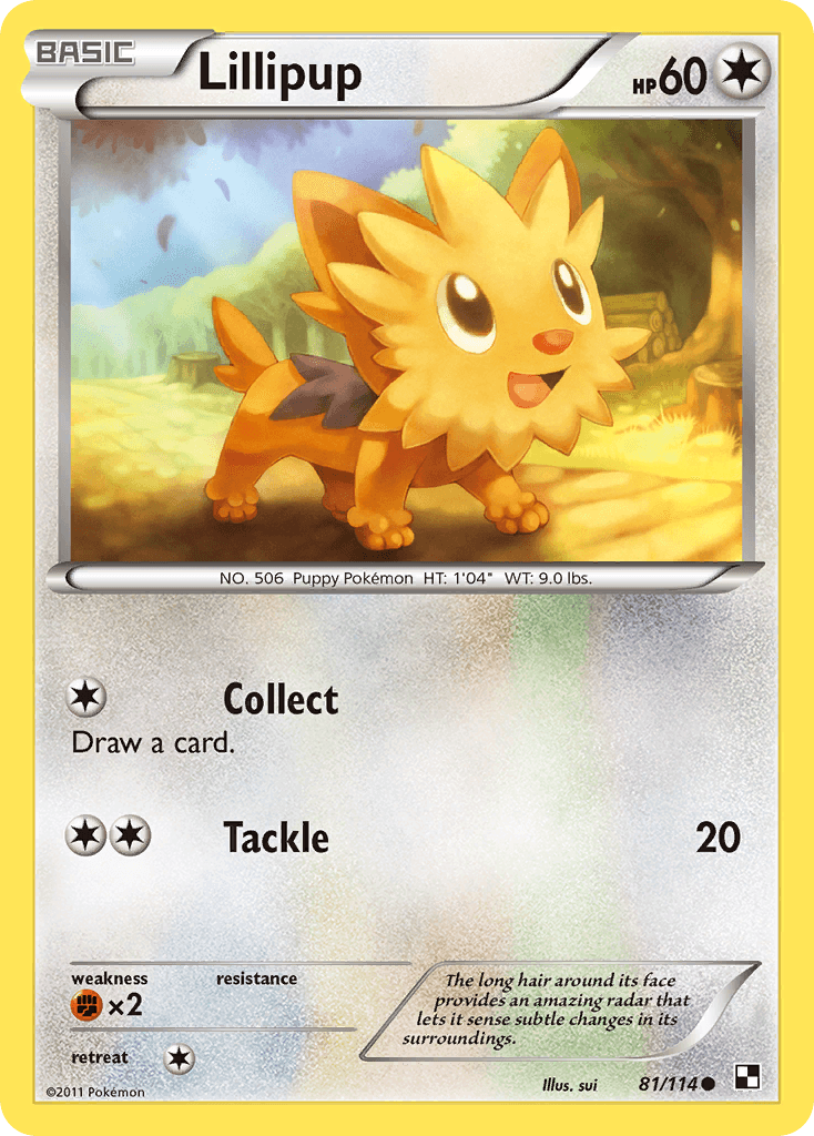 Lillipup 81