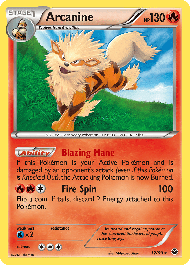 Arcanine 12