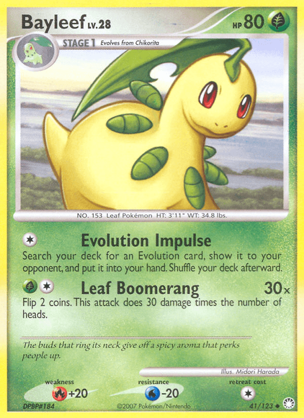 Bayleef 41