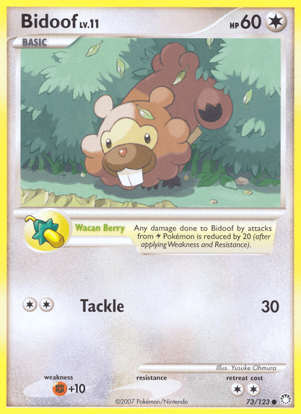 Bidoof 73
