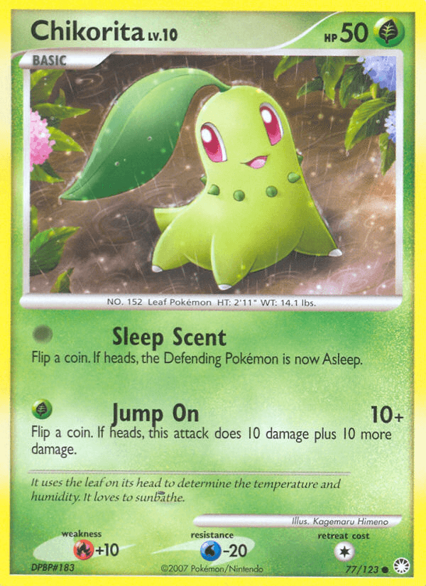 Chikorita 77