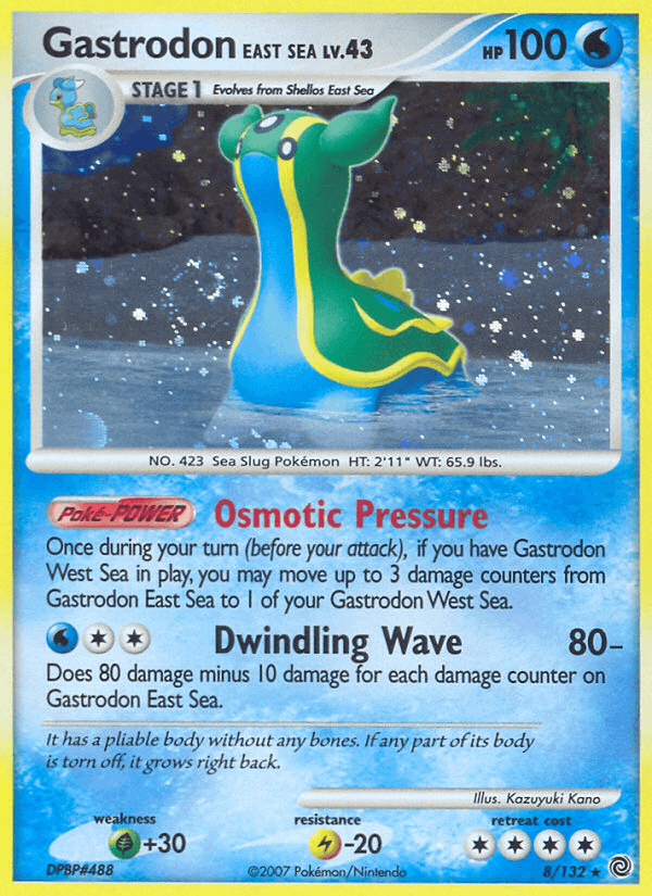 Gastrodon East Sea 8