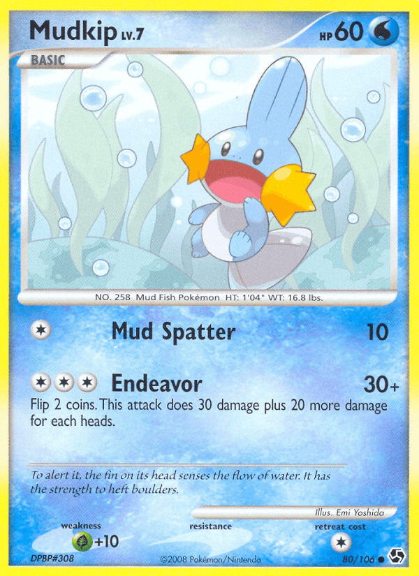Mudkip 80