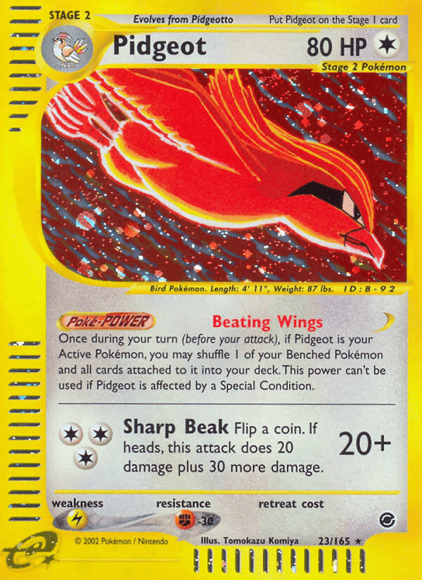 Pidgeot 23