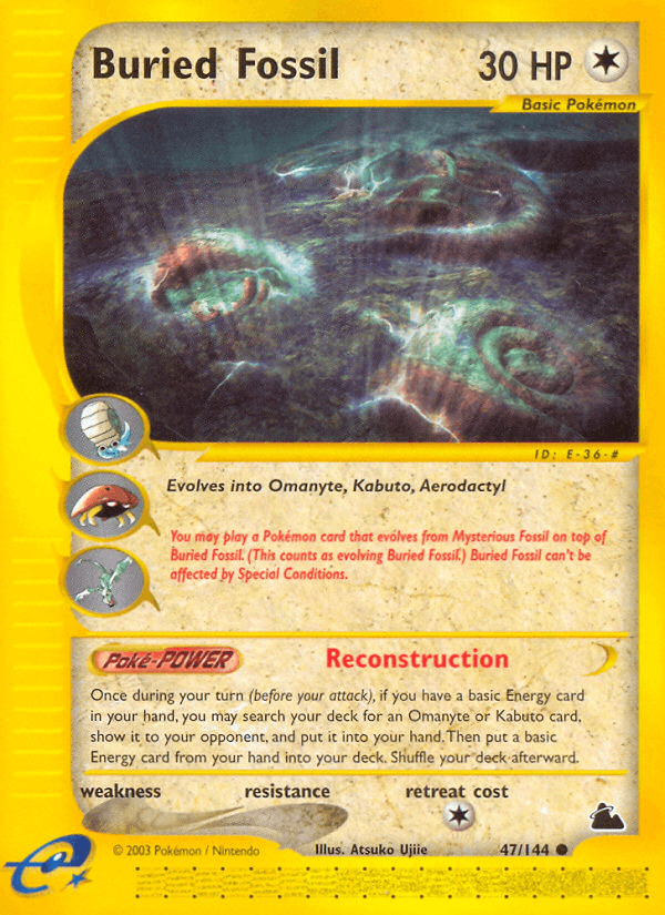 Buried Fossil 47