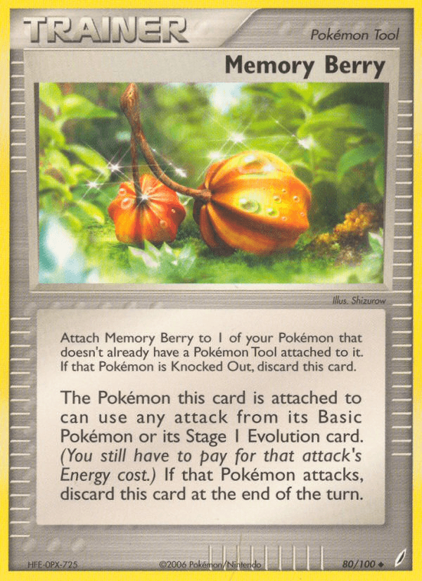 Memory Berry 80
