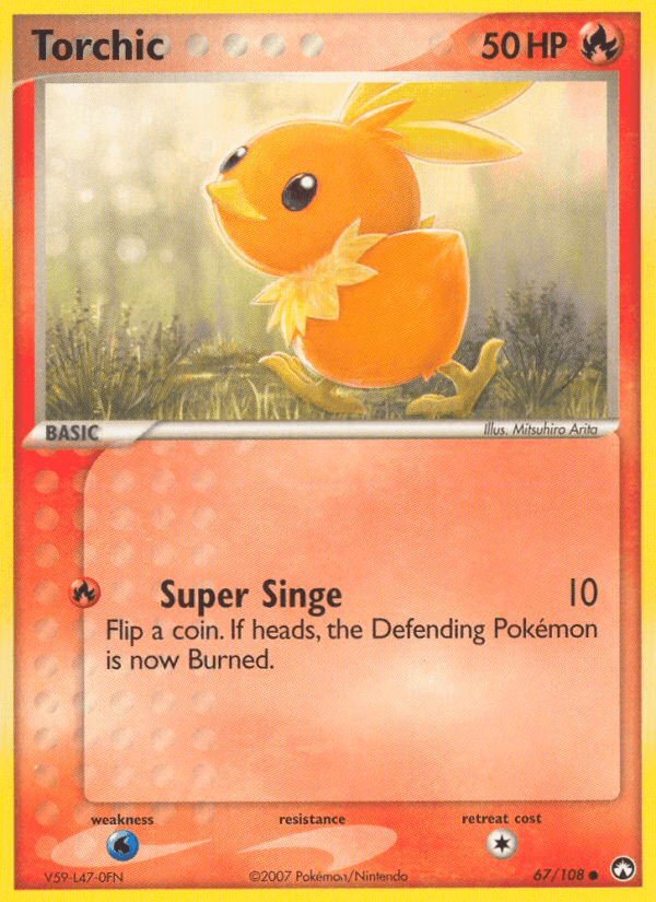 Torchic 67