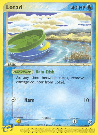 Lotad 66