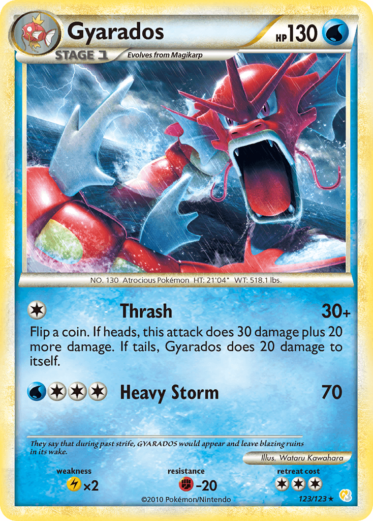 Gyarados 123