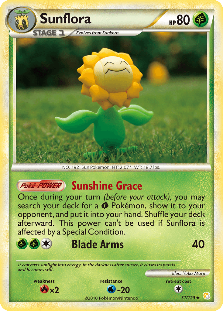 Sunflora 31