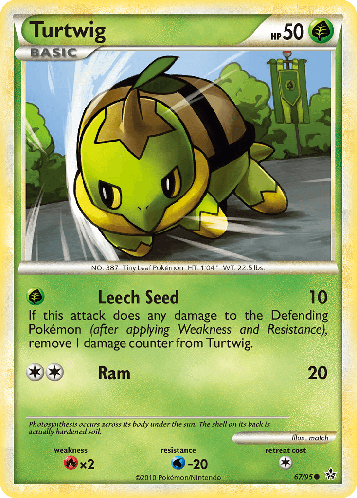 Turtwig 67