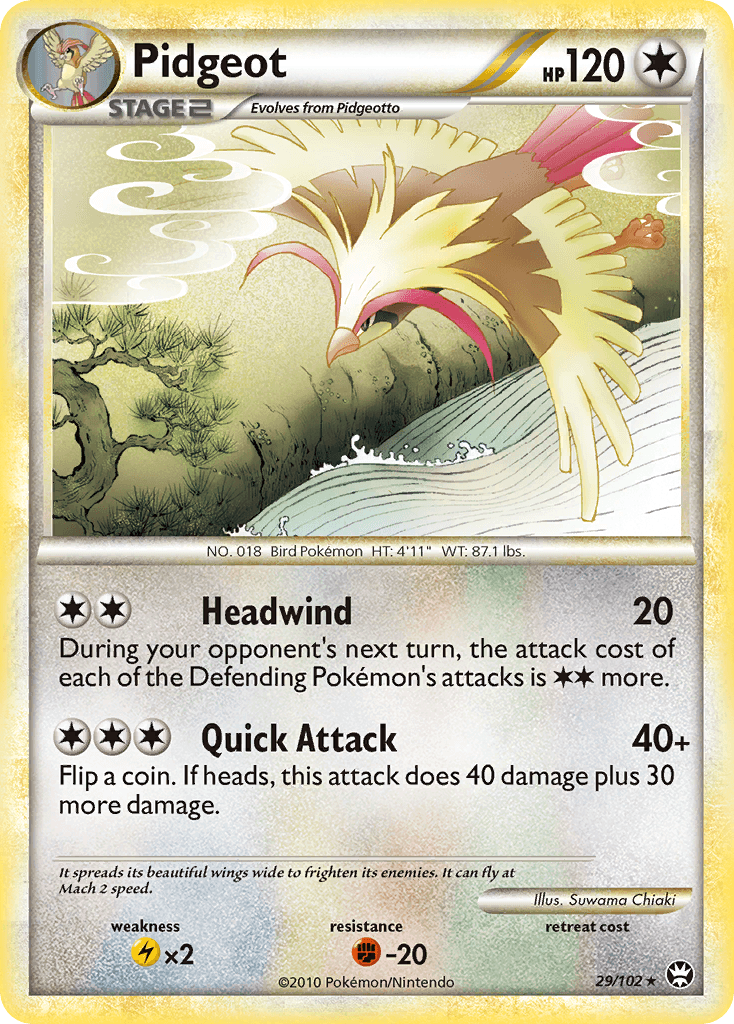 Pidgeot 29