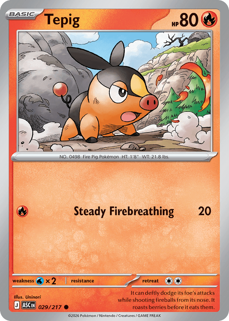 Tepig 029/217