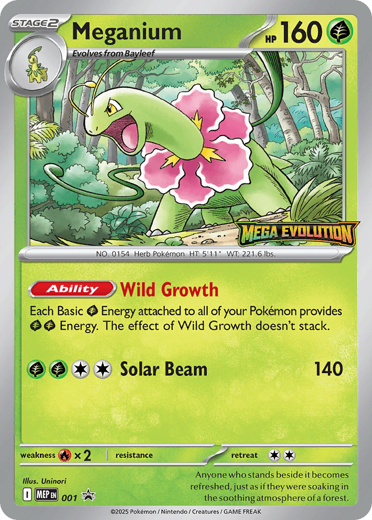 Meganium 001