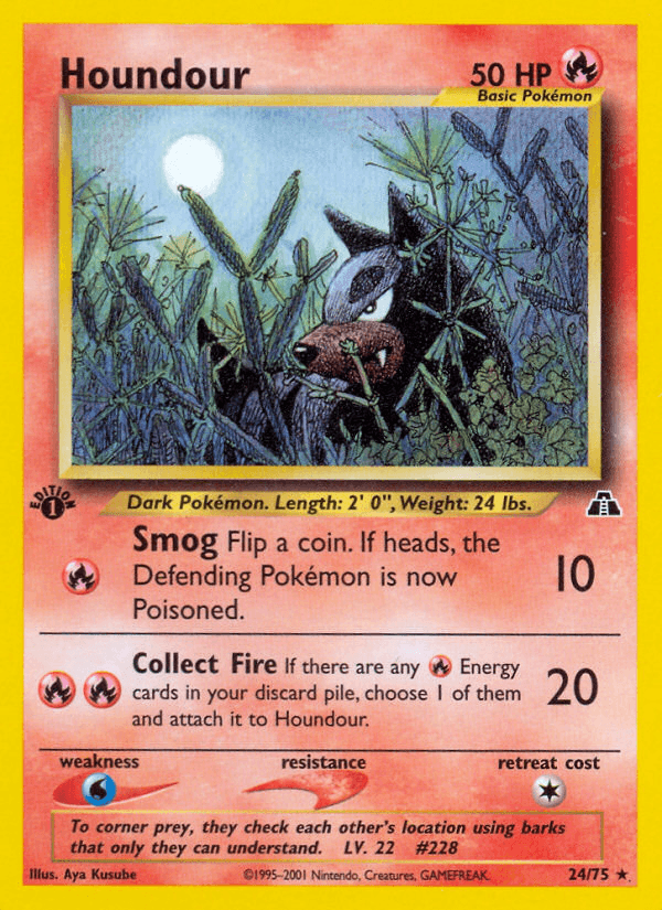 Houndour 24