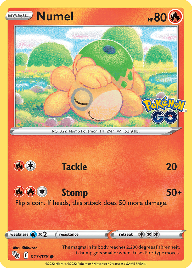 Numel 13