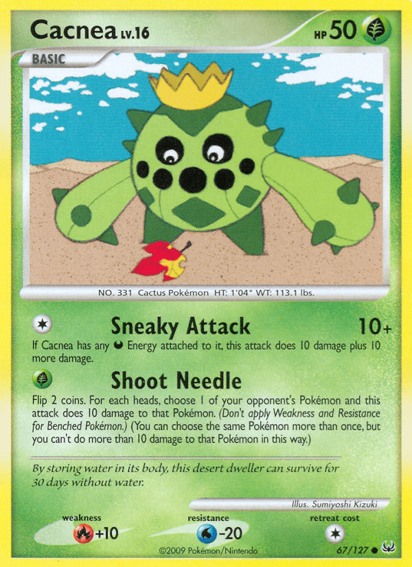 Cacnea 67