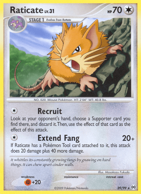 Raticate 29