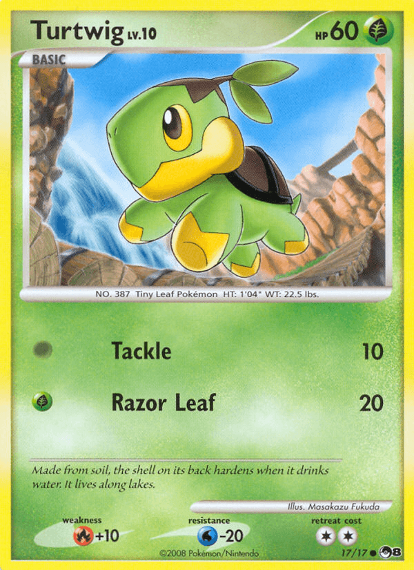 Turtwig 17