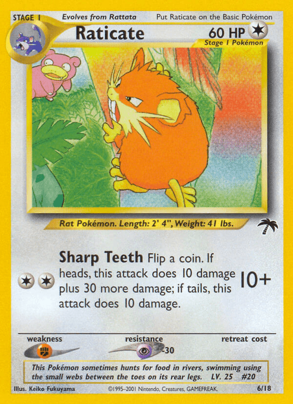 Raticate 6