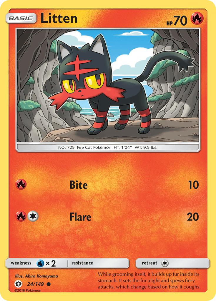 Litten 24