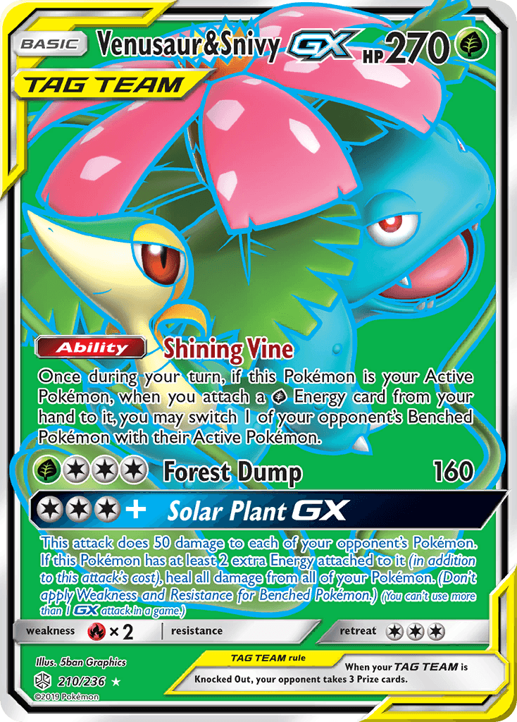 Venusaur & Snivy-GX 210