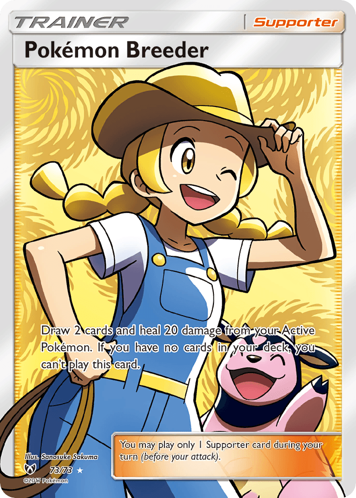 Pokémon Breeder 73