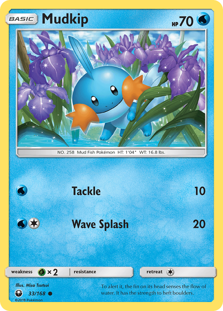 Mudkip 33