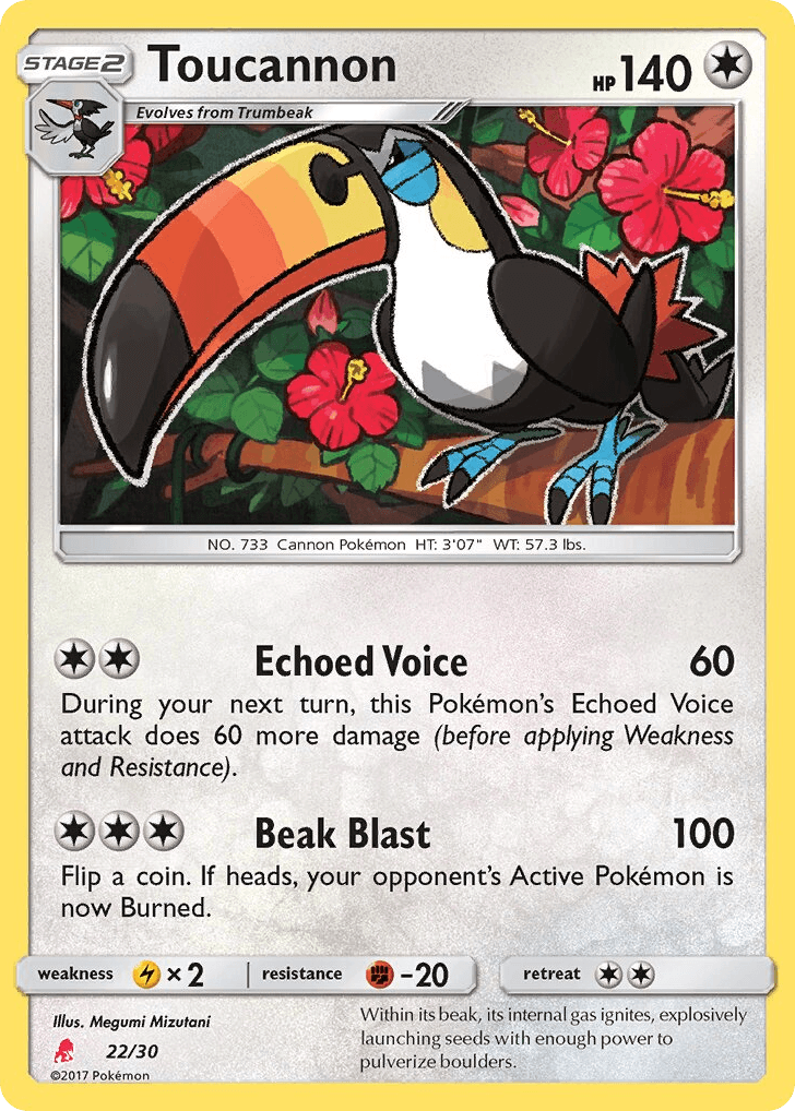 Toucannon 22