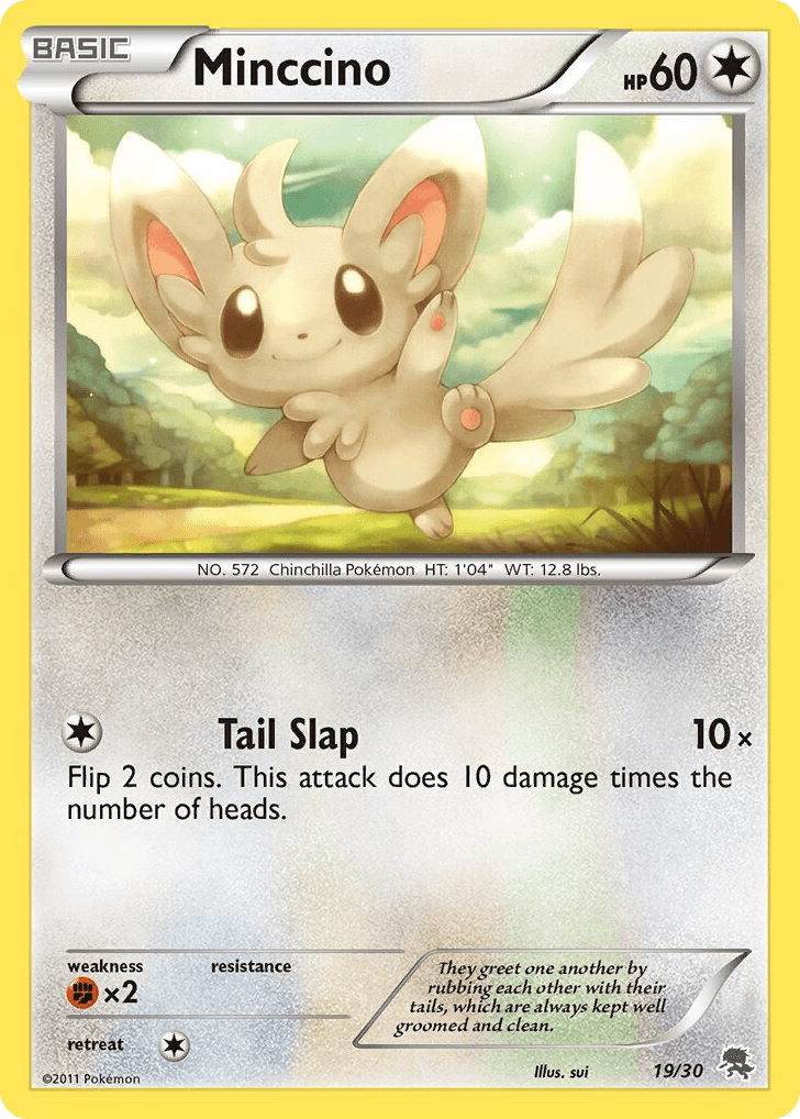 Minccino 19
