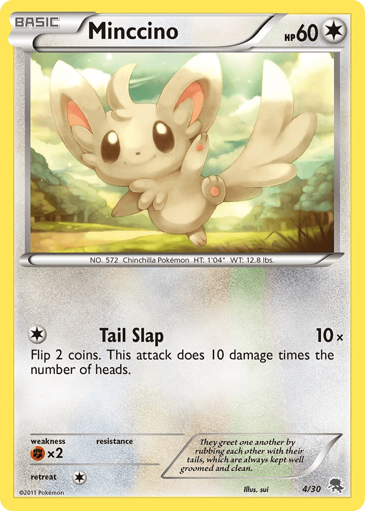 Minccino 4