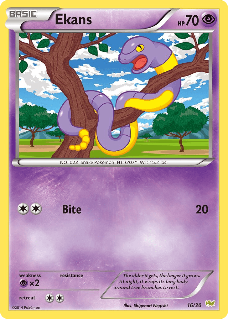 Ekans 16