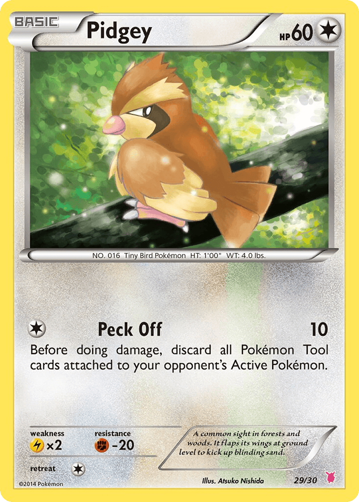 Pidgey 29