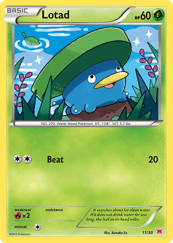 Lotad 11