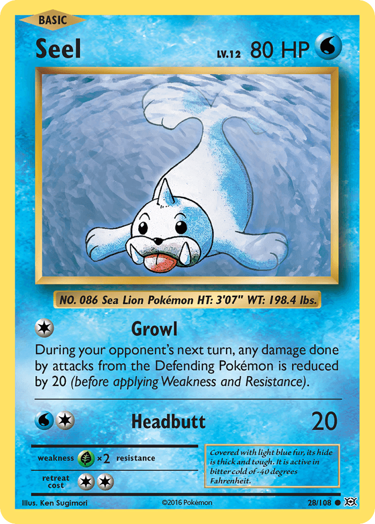 Seel 28