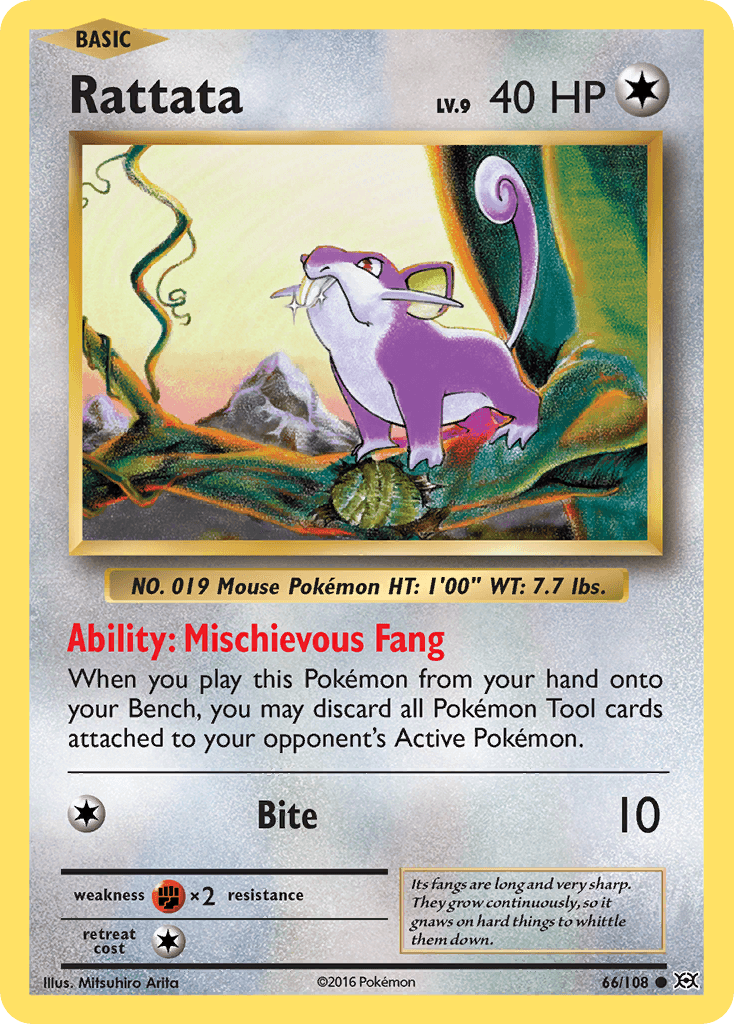 Rattata 66