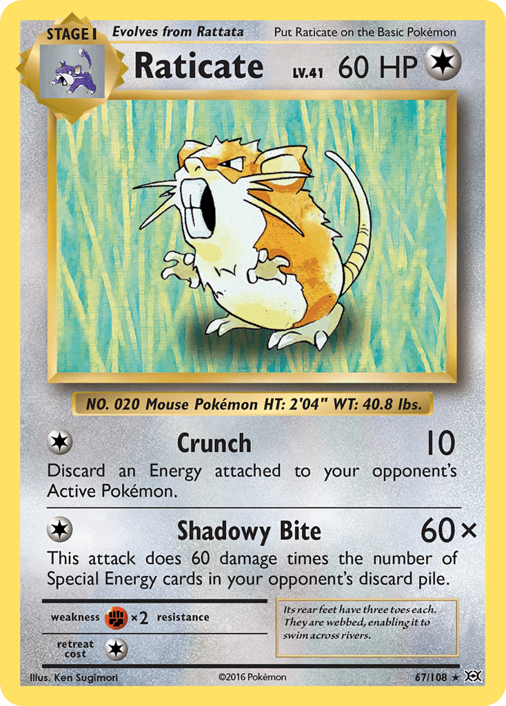 Raticate 67