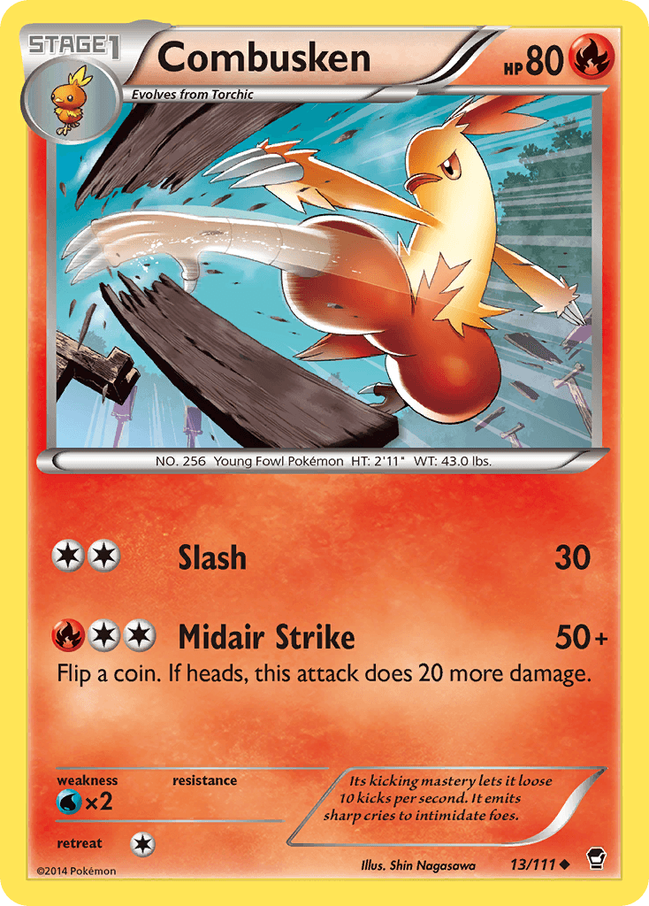 Combusken 13