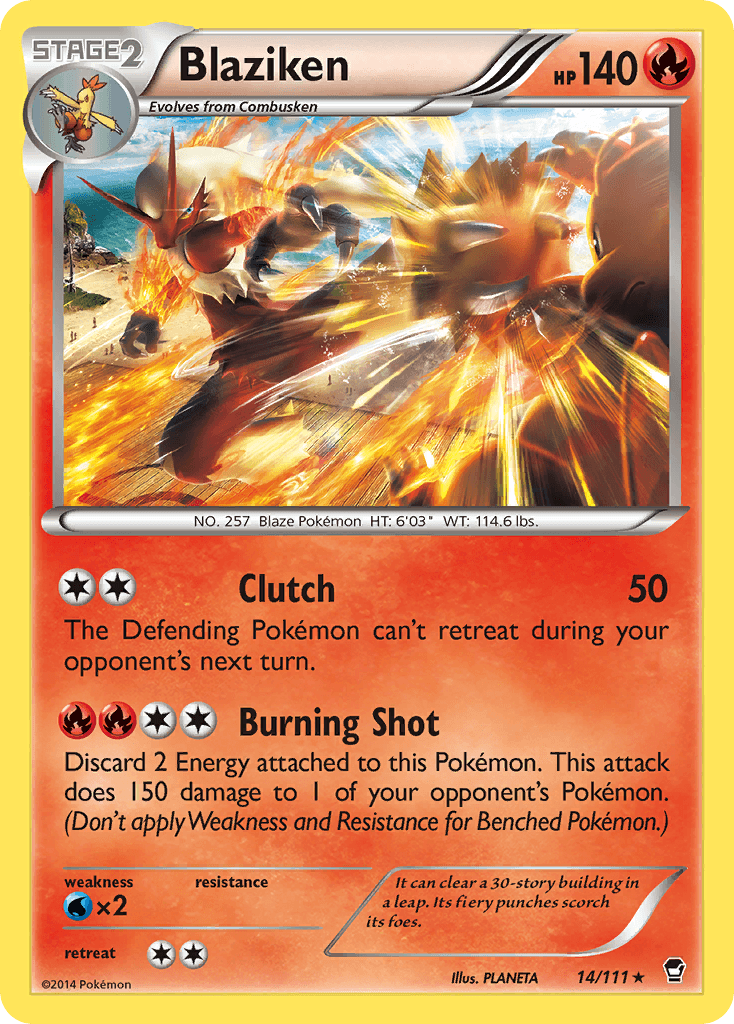 Blaziken 14