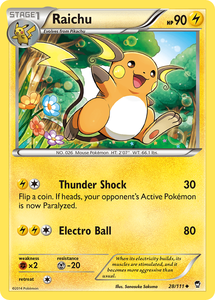 Raichu 28