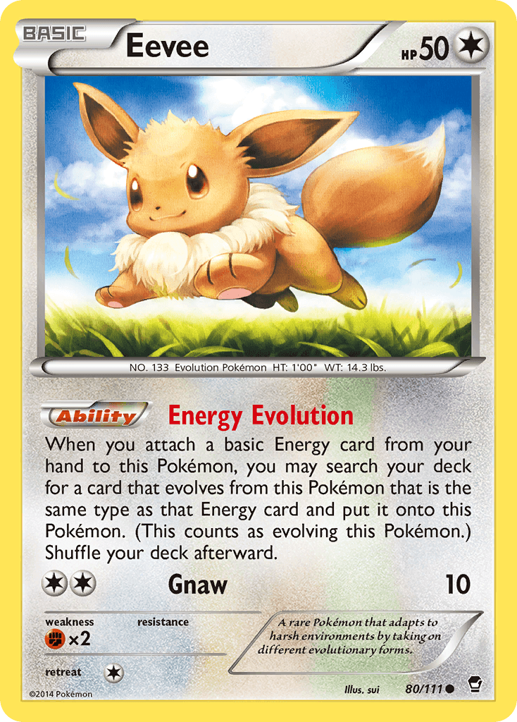 Eevee 80