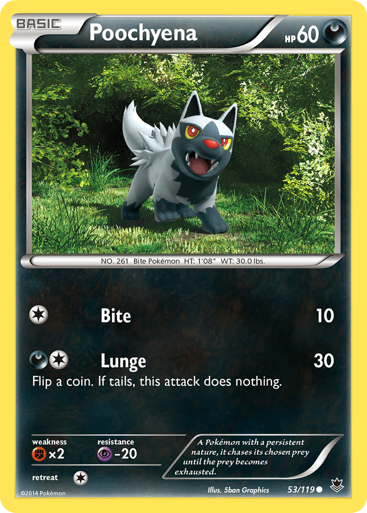 Poochyena 53