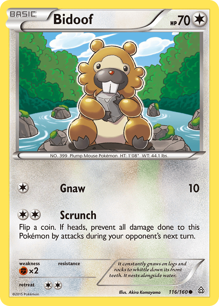 Bidoof 116/160