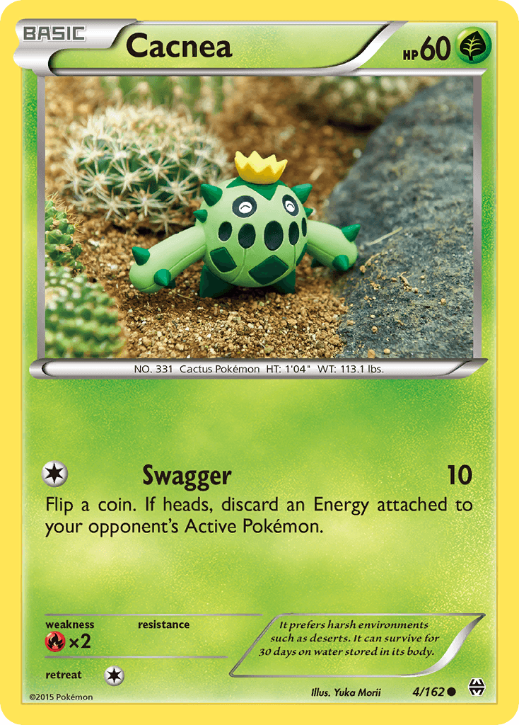 Cacnea 4