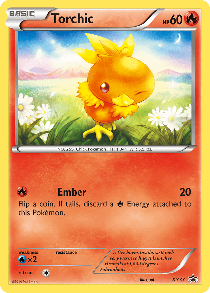 Torchic XY37